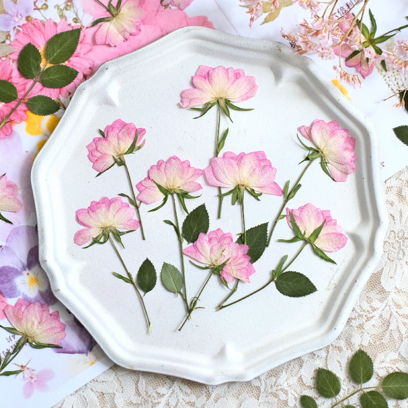 Resin Craft Ideas - 12 шт., настоящие засушенные прессованные цветы